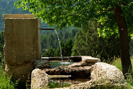 pexels photo 32501479 32501479 Rustic spring water fountain in Elmalı, Antalya, surrounded by lush greenery and serene forest.